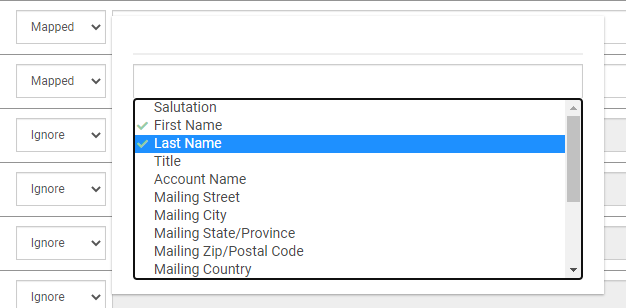 How to use a Salesforce Report as a Data Source